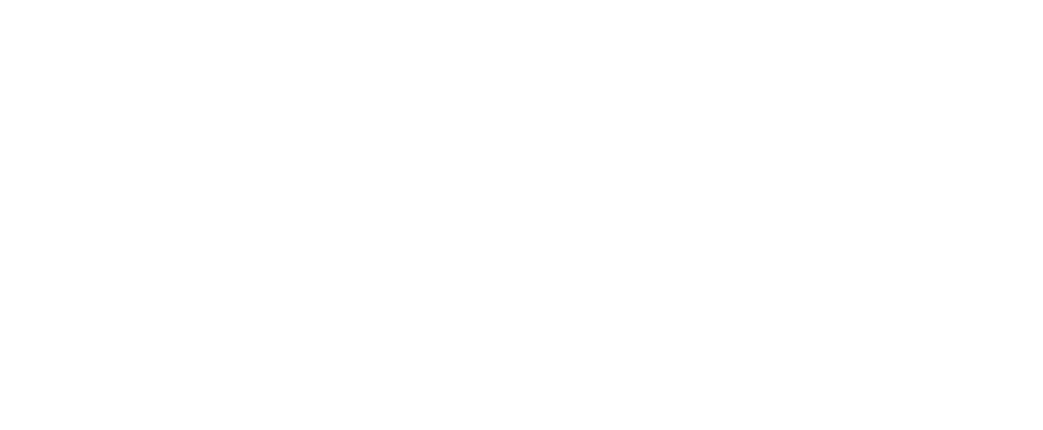 Logo Pozytywnych Inicjatyw